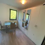 Cozy, Sunny Apartment.